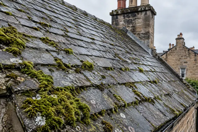 roof surveys Glasgow